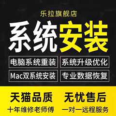 远程做电脑系统重装win10win11win7安装专业纯净版台式笔记本刷机