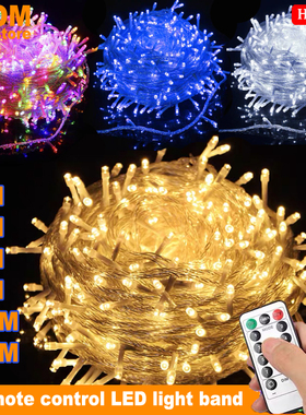 Christmas tree New Year decoration LED Fairy Lights String灯