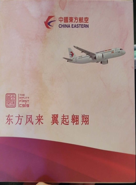 中国东方航空C919飞机模型，编号B-919A，比例1:200，做工精美喜