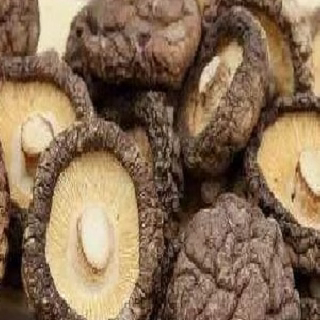 香菇小香菇500克干货 剪根 味道好香云和庆元农家