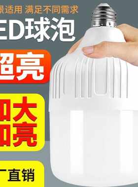 大螺口省电商用护眼白光led灯泡