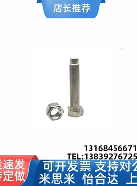 STCAM4/5/6/8/10/12定位螺栓外六角头细牙螺纹凸端R角型PBE22