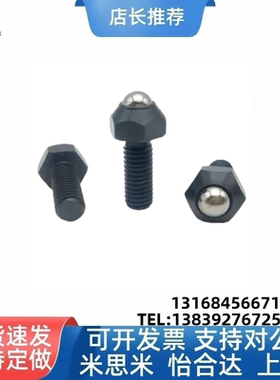 ZC306-1 头部锁紧型六角锁紧螺栓  球头型锁紧螺栓 支承螺栓BRSM