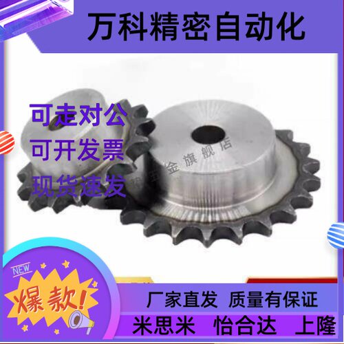 SP50B20/21-N-15/16/18/19/22/24/25/28/30/32/35/38/40/45 链轮