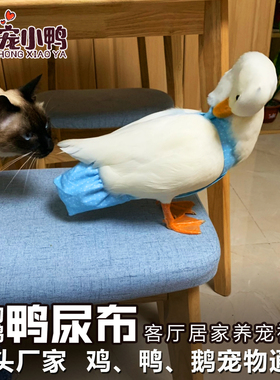 网红鸭子粪兜宠物鸭尿布家鸭鹅尿片纸尿裤柯尔鸭尿不湿小鸭子用品