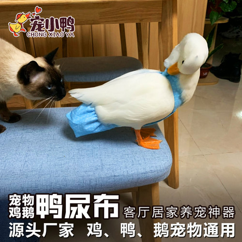 鸭子尿不湿鹅粪兜鸭鹅鸡纸尿裤