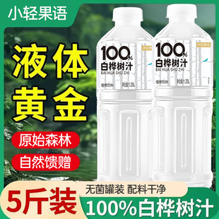 【五斤装】100%白桦树汁1.25L大瓶装植物饮料无糖畅饮轻负担