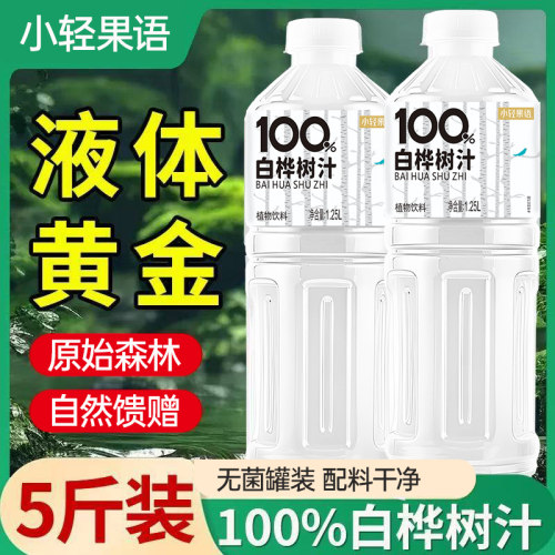 【五斤装】100%白桦树汁1.25L大瓶装植物饮料无糖畅饮轻负担
