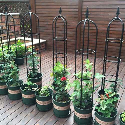 户外花架爬藤架铁线莲支架阳台支撑架月季庭院植物专用架子