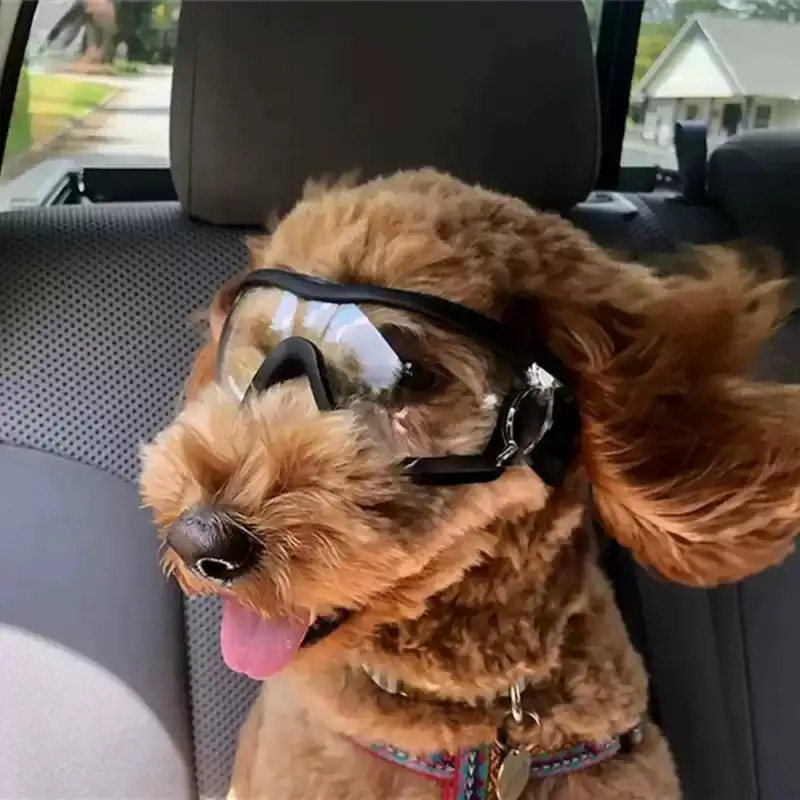 宠物外出安全帽防风透明框眼镜太阳眼镜狗狗柯基柴犬泰迪机车机车