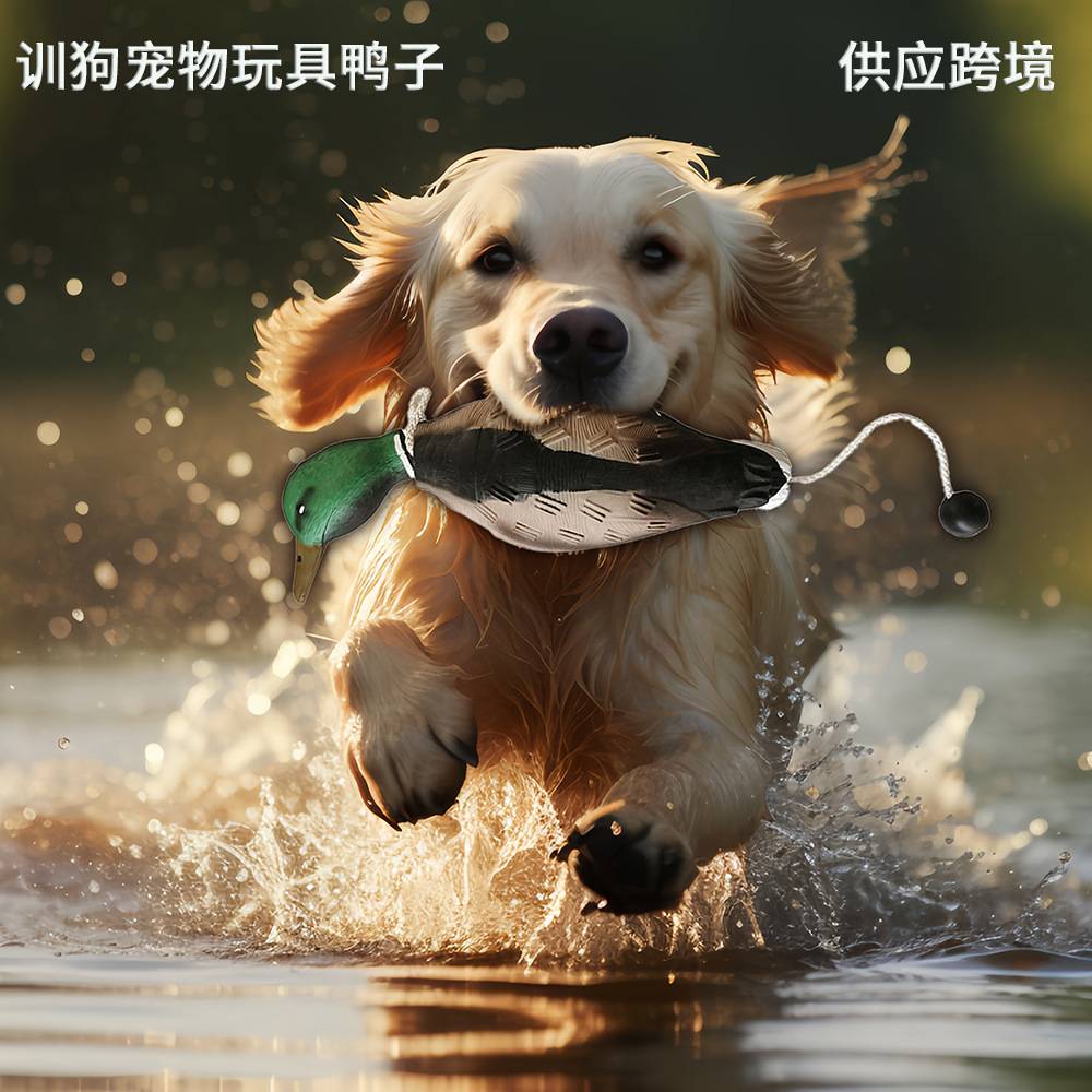 EVA射出发泡宠物鸭耐咬诱饵狗狗玩具假鸭训练器批发