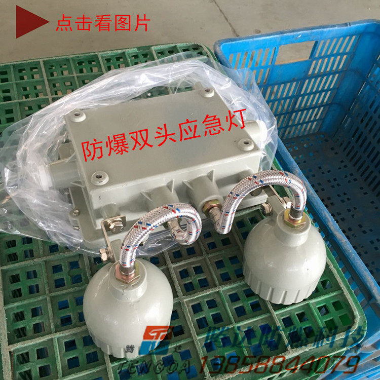 厂家led2*3w防爆应急灯出口双头灯 防爆标志灯疏散指示灯