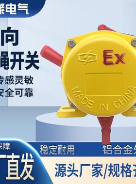 防爆拉绳开关BKLT2 EXKLT2 BXYLS-II粉尘防爆急停开关XLLS BX5800