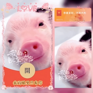 创意搞笑vx红包动态封面序列号即使你变成了猪可爱节日wx特效皮肤