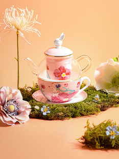 兔宝宝单水彩婆婆壶骨瓷杯碟茶具下午茶茶壶礼品