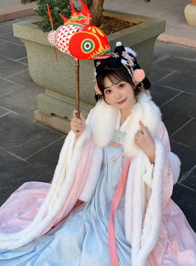 茵卡蕾唐制汉服女中国风加厚毛绒绣花大袖衫齐胸破裙原创冬季