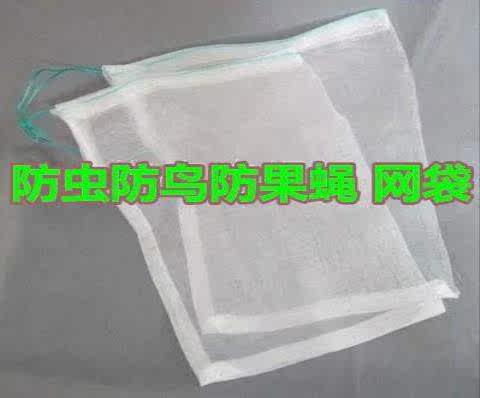 防鳥袋水果保護網袋瓜果種植蔬菜防蟲網露天絲瓜水果防蟲網袋防蠅在類目 鮮花速遞/花卉仿真/綠植園藝, 園藝用品, 其它園藝用品中 - 來自Buy2taobao.com提供專業的淘寶代購服務