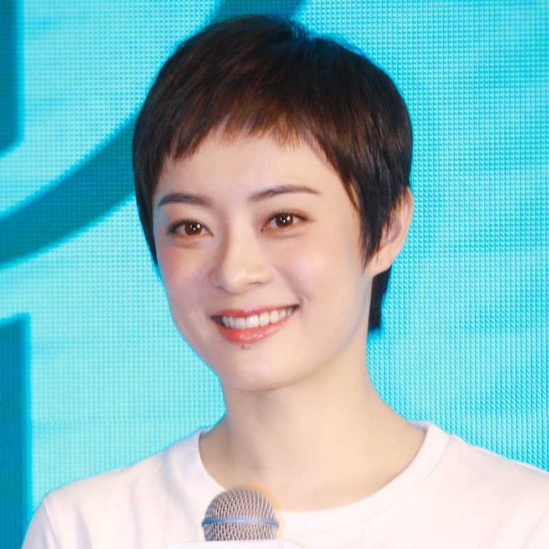 新品假发女短发网红真发圆脸自然帅气全头套短直发真人发丝逼真假