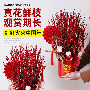 银柳真花鲜枝干花花束客厅摆件年宵花超长花期红柳枝条花卉绿植物