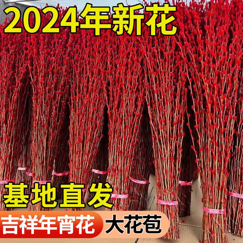 银柳真花鲜枝客厅干摆件红