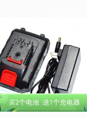 时之沙 立信21V 48V58V68V88V98VF充电钻手钻电批锂电池充电器