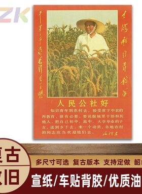 毛主席像墙画标准像复古中堂挂画人民公社好伟人客厅装饰海报画m9