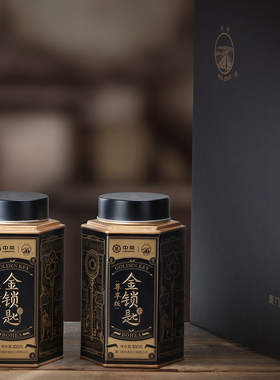 中茶 海堤茶叶 乌龙茶岩茶 金锁匙尊享版 奇种茶 100克单罐中足火