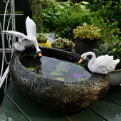 铜钱草水培花盆大口径清仓绿萝植物吊兰碗莲水养花园庭院阳台养鱼