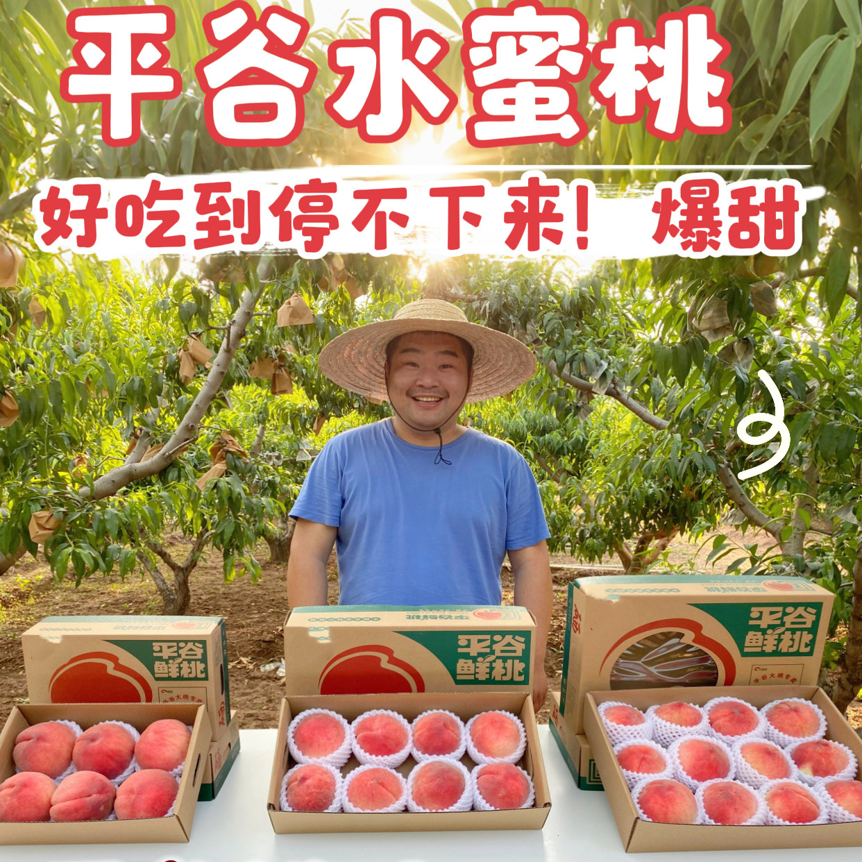 正宗平谷新鲜当季桃子礼盒顺丰