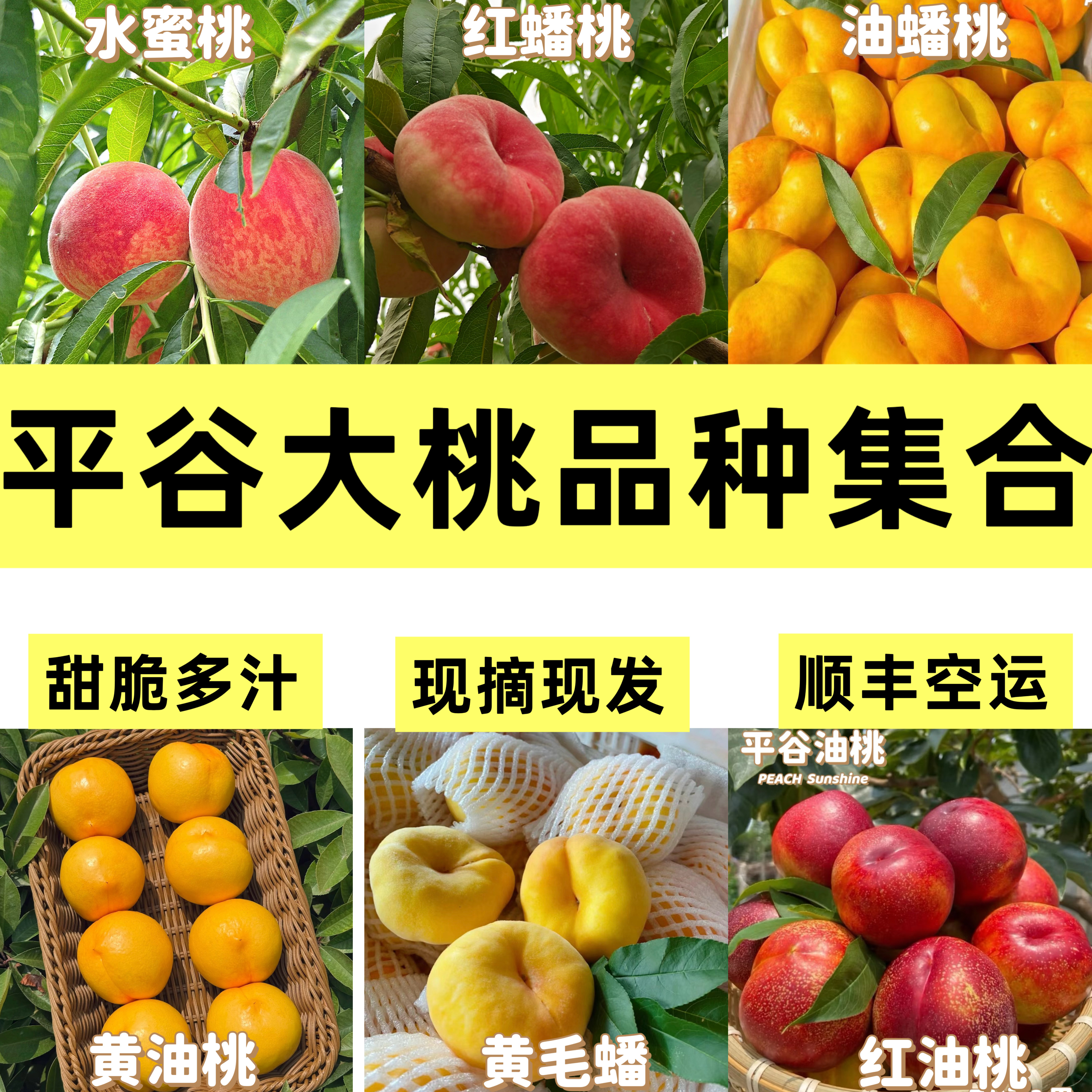 原产地，假一赔十空运新鲜现摘