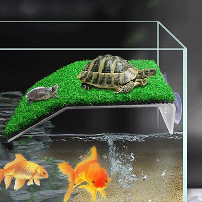 Aquarium Turtle Climbing Platform Fish Tank Simulation Lawn