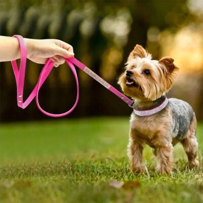 Sparkling Crystal Glitter Dog Collar with Rhinestones and Zi
