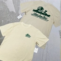Apricot Color Landmark on the Back