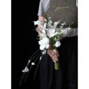 模拟花马蹄莲新娘婚纱照片花束摄影工作室摄影婚纱照片旅游照片丝