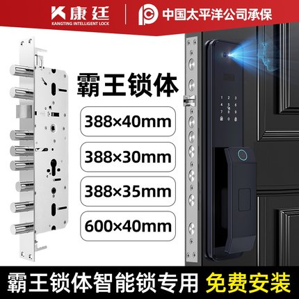 霸王锁体智能锁刷脸2025新款防盗门指纹锁密码锁家用门锁上门安装