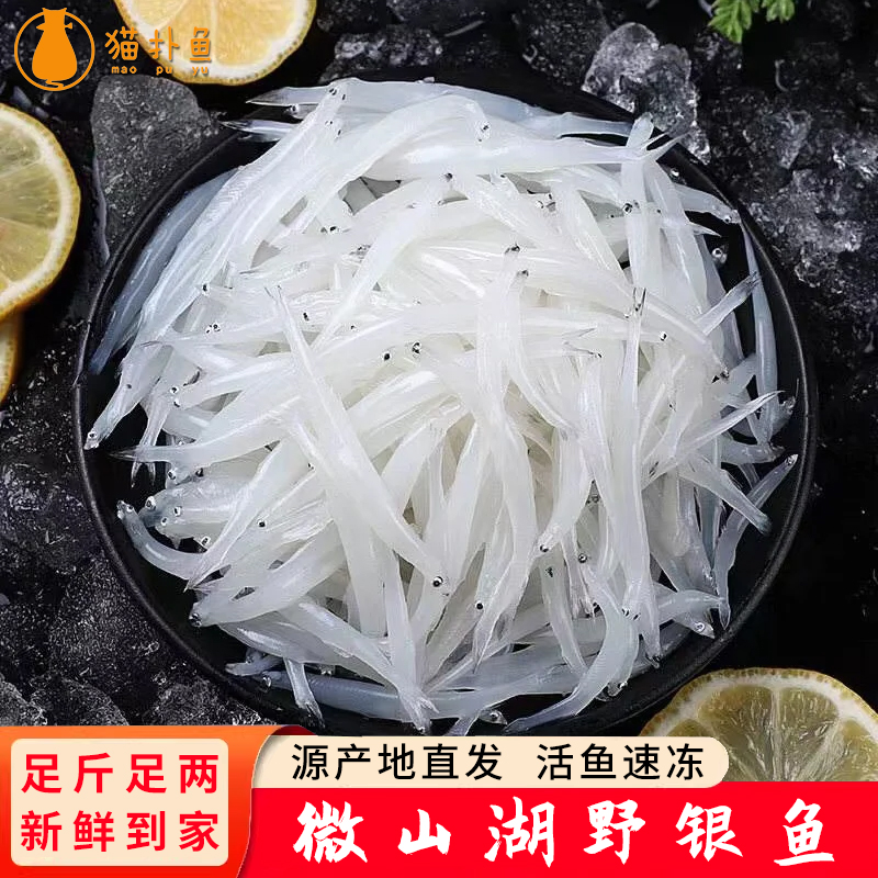 微山湖新鲜原生态小银鱼鲜活急冻