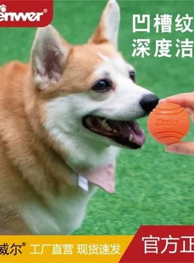 实心球宠物狗训练弹力球绳球户外寻回玩具球啃咬耐咬Meianju橡胶