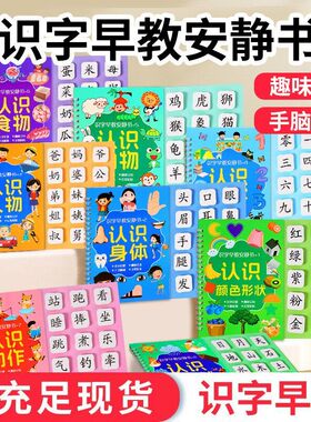 【下单立减30】识字早教书幼儿启蒙游戏书学前认字卡粘贴魔术贴CZ
