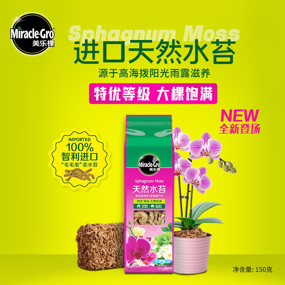 智利水苔进口干苔藓干水苔蝴蝶兰专用土兰花土乌龟冬眠智力包邮柱