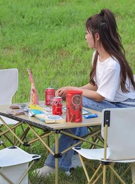 Outdoor camping picnic BBQ folding table and chair set