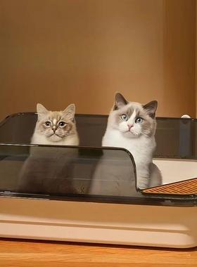 Extra Large Cat Litter Box Pet Sandbox Splashproof Cat Tray