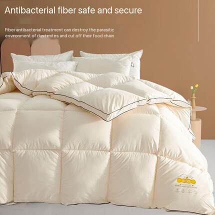 summer autumn quilt thick comforter duvet blanket 被子被芯