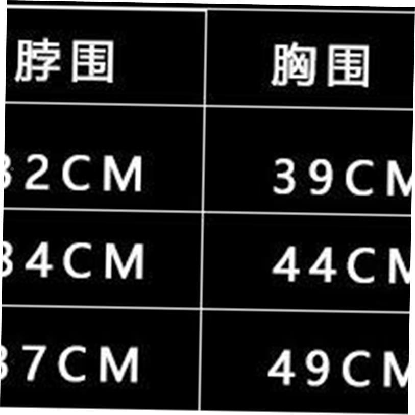 Cute Halloween Cat CostumU74o1d9Xe Small P Cat Bat Wings Hal