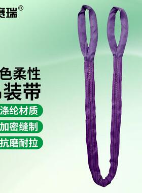 安赛瑞柔性吊装带双扣偏平起重彩色环形吊带1T*1M紫色2G00073