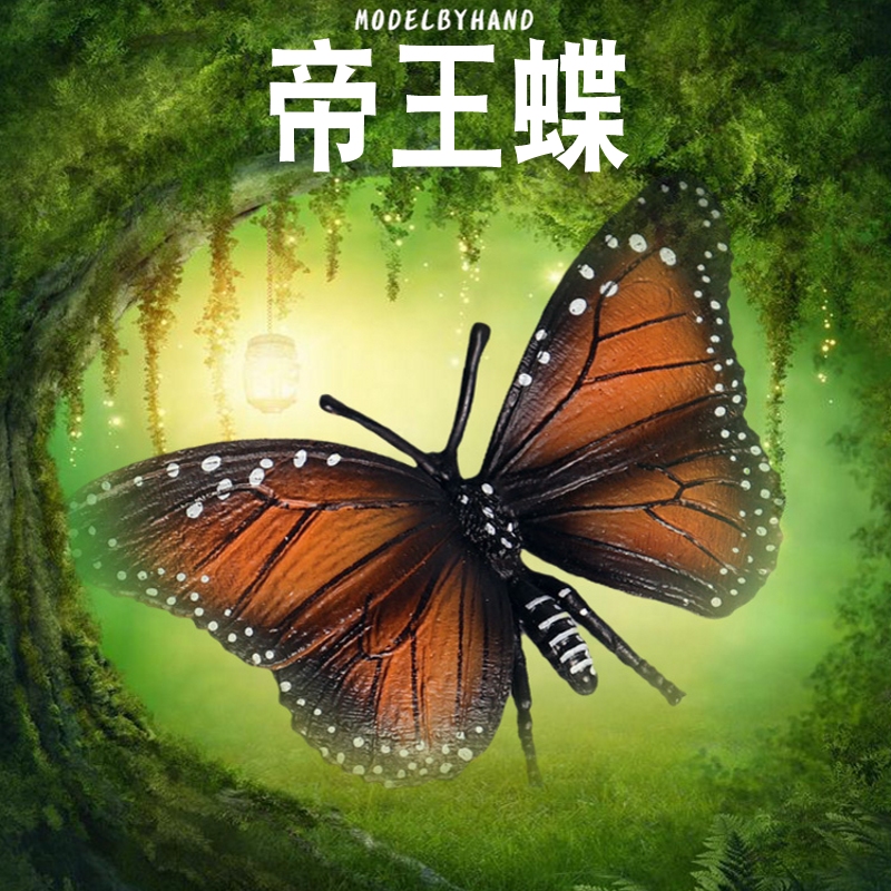 蝴蝶分布于除南极外大部分区域