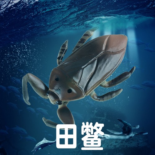 林畅模玩田鳖模型仿真昆虫玩具