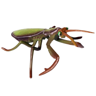 儿童仿真昆虫模型螳螂刀螂模型蝴蝶蜜蜂蜘蛛蚂蚁甲虫仿真动物玩具