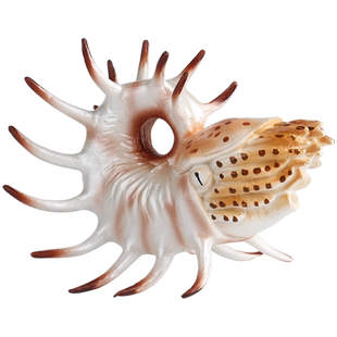 林畅模玩二叠纪史前海洋生物模型库珀角石仿真动物儿童玩具鹦鹉螺