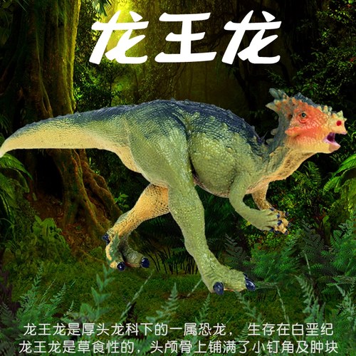 林畅模玩仿真动物肿头龙