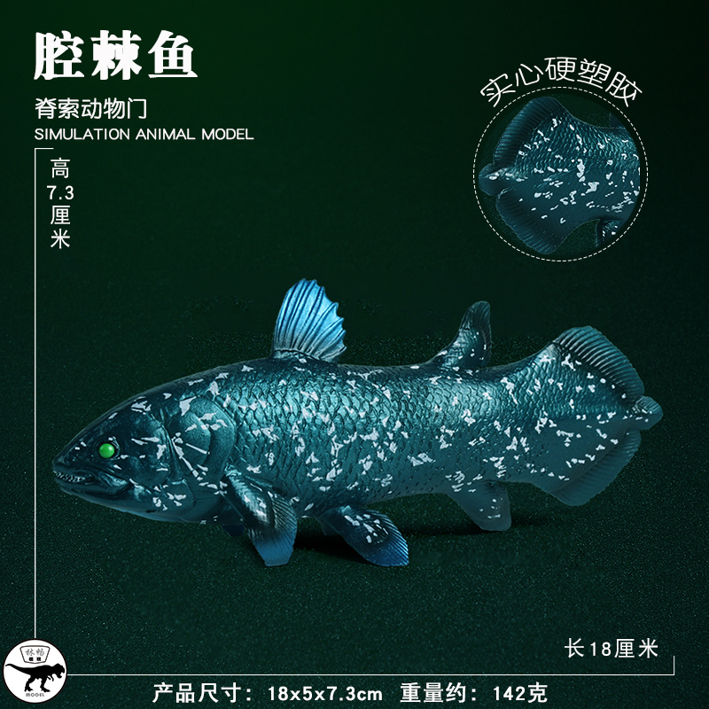 儿童史前海洋巨兽腔棘鱼模型深海远古鱼海底生物恐龙玩具仿真动物